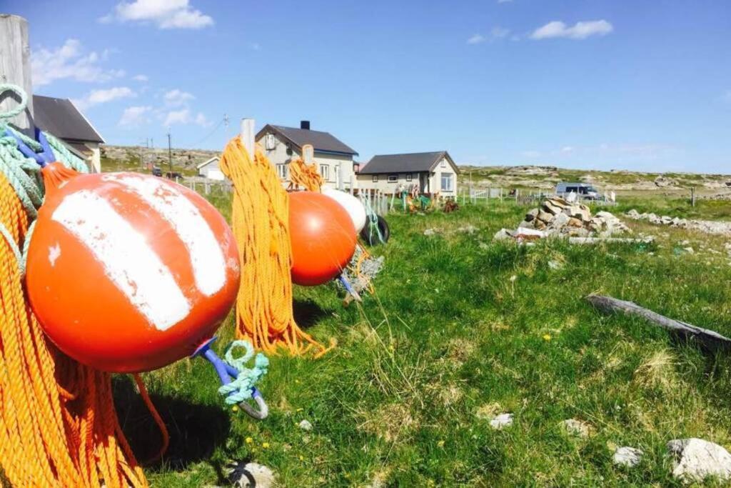 Arctic House By The Sea, Vadso, Varanger Vadsø Exterior foto